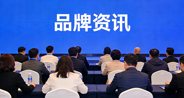 算力“一键下单”：电碳算协同开启绿色算力普惠新纪元